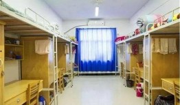 学校宿舍新瓜最新爆料,揭秘学校宿舍最新瓜事内幕