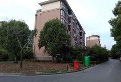 官方爆料枫丹实景视频大全,全景呈现梦幻仙境