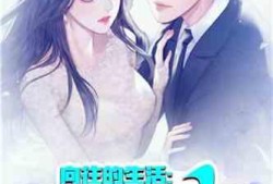娱乐吃瓜酱接亲小说,一场跨界爱情的甜蜜盛宴