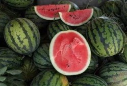 一块钱吃瓜网红,揭秘网红背后的瓜田秘事