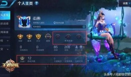 王者宋文爆料视频大全,揭秘游戏幕后故事与精彩瞬间