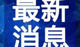 敦化海鲜爆料视频最新,新鲜美味，揭秘海鲜市场最新动态