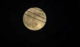 我的夜晚在线观看56,揭秘神秘网络世界的奇幻之旅