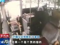 小男孩迷路爆料视频,网友助力找回温馨瞬间