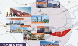 娱乐八卦大爆料解说文案,明星背后的惊人真相大曝光！