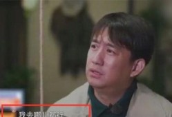 黄磊爆料自己视频大全下载,独家视频大全下载秘籍大公开！