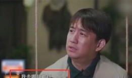 黄磊爆料自己视频大全下载,独家视频大全下载秘籍大公开！