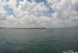 海南赶海爆料视频播放网站,揭秘海洋宝藏的实时直播之旅