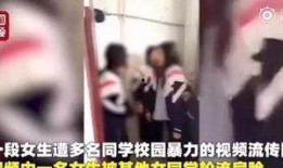 厦门爆料女孩事件视频,真相与争议的漩涡