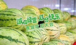 开心吃瓜免费观看网站,揭秘热门免费观看网站的魅力