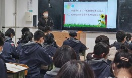 石家庄中学生爆料视频,校园生活背后真相曝光